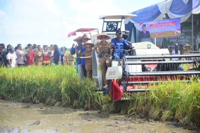 
					Panen Raya Bupati Mesuji Elfianah Pastikan Harga Gabah Rp.6.500/kg